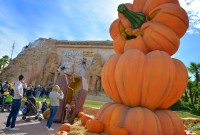 2. Gardaland Magic Halloween 2018_5203.jpg